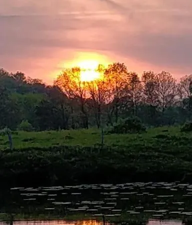 Voyage Appar't - Sevremoine * Tiffauges