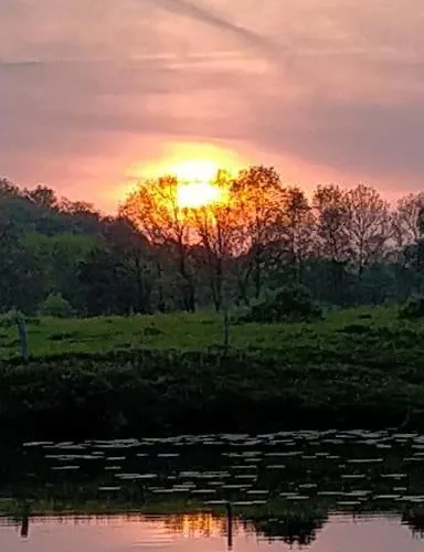 Voyage Appar't - Sevremoine * Tiffauges