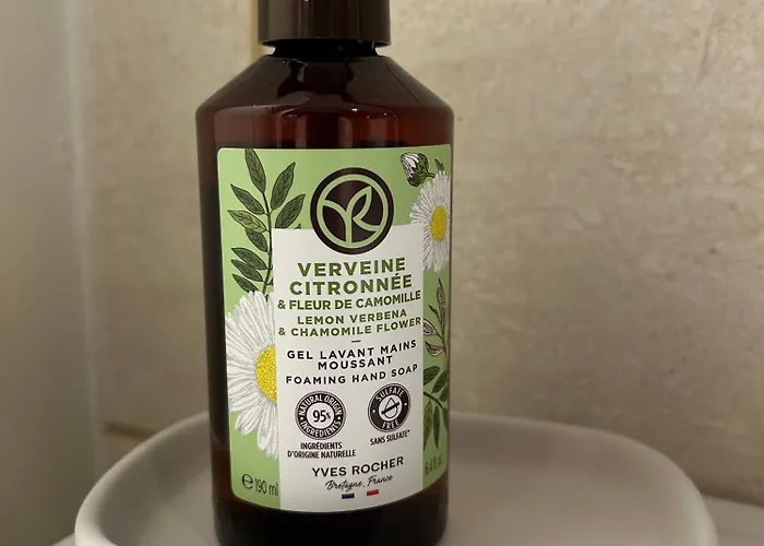 Voyage Appar't - Sevremoine * Tiffauges