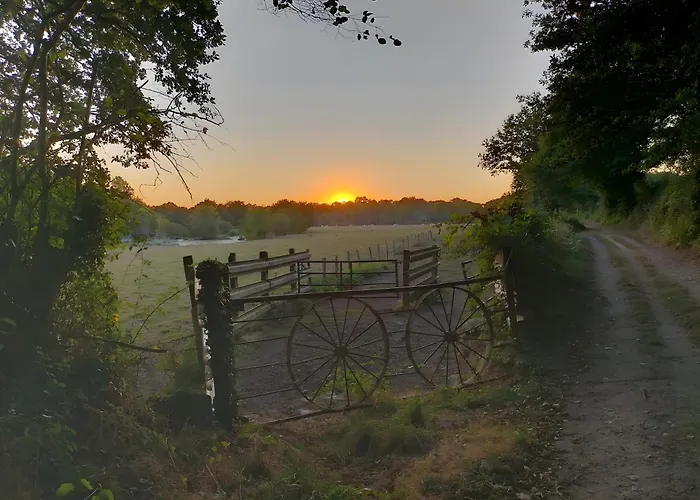 Voyage Appar't - Sevremoine * Tiffauges