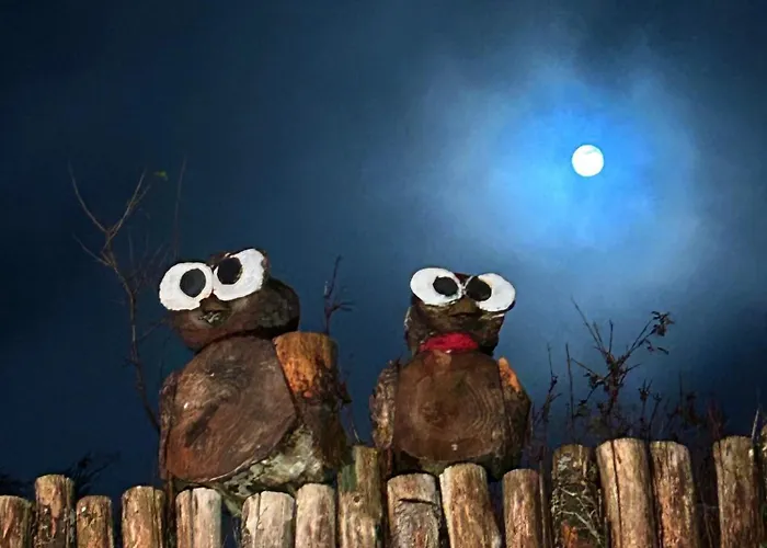 Voyage Appar't - Sevremoine Tiffauges