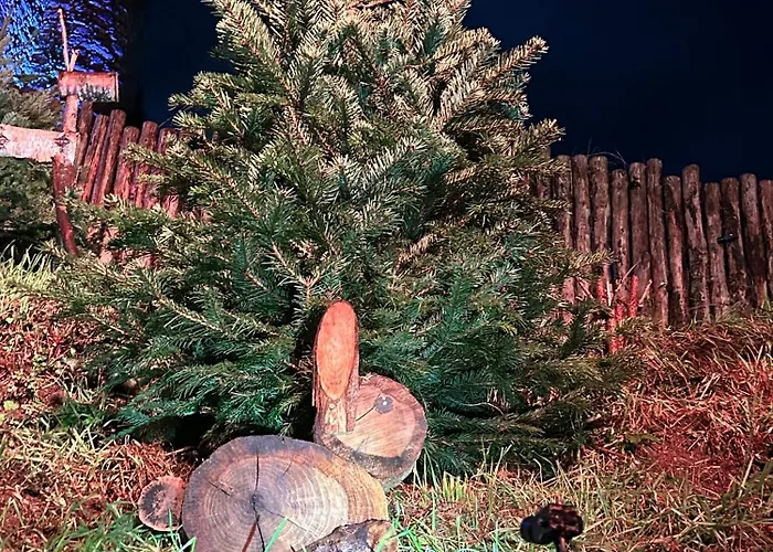 Voyage Appar't - Sevremoine * Tiffauges